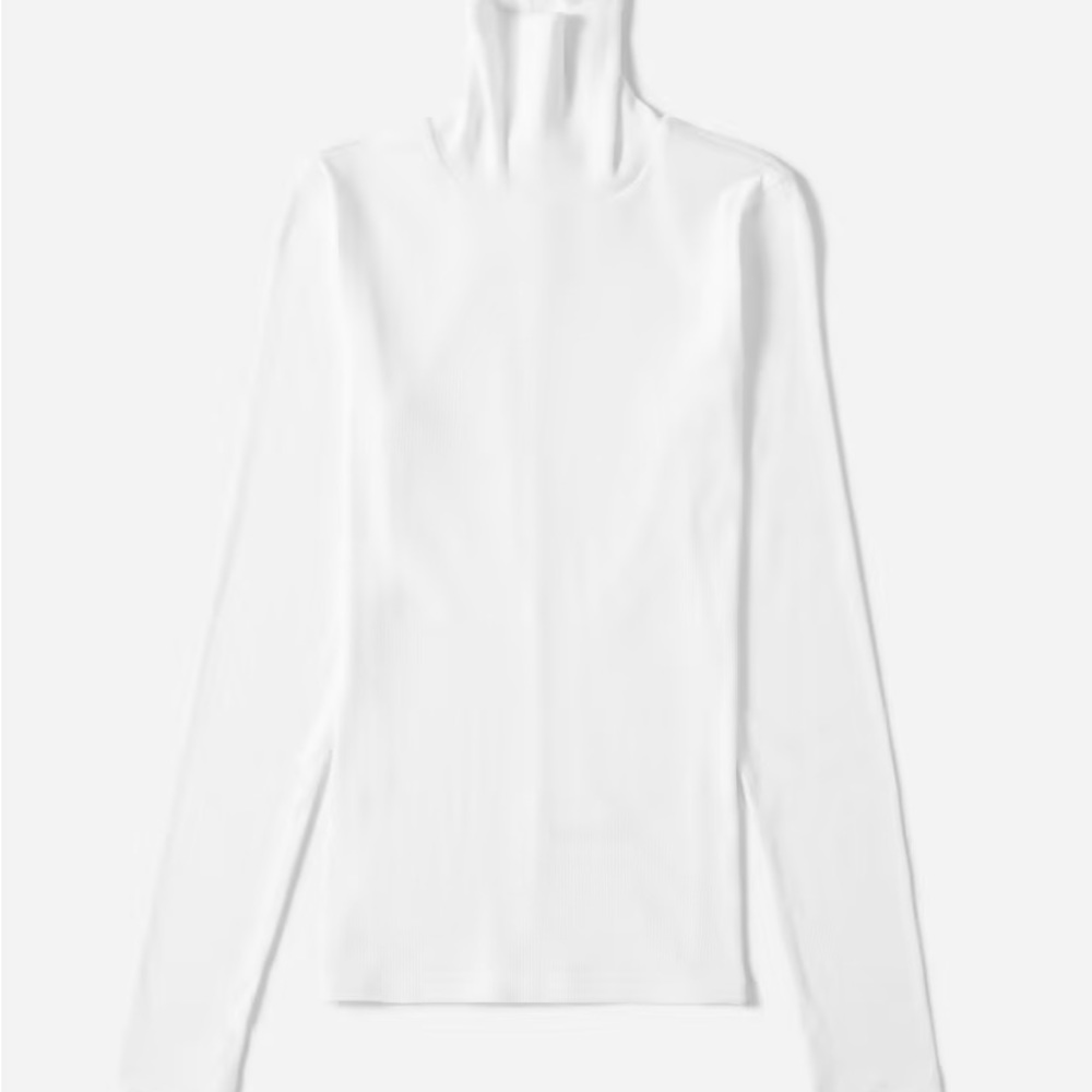 NWT Everlane The Pima Micro Rib Turtleneck